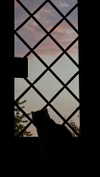 federica.piccinni Altpins Profile Picture