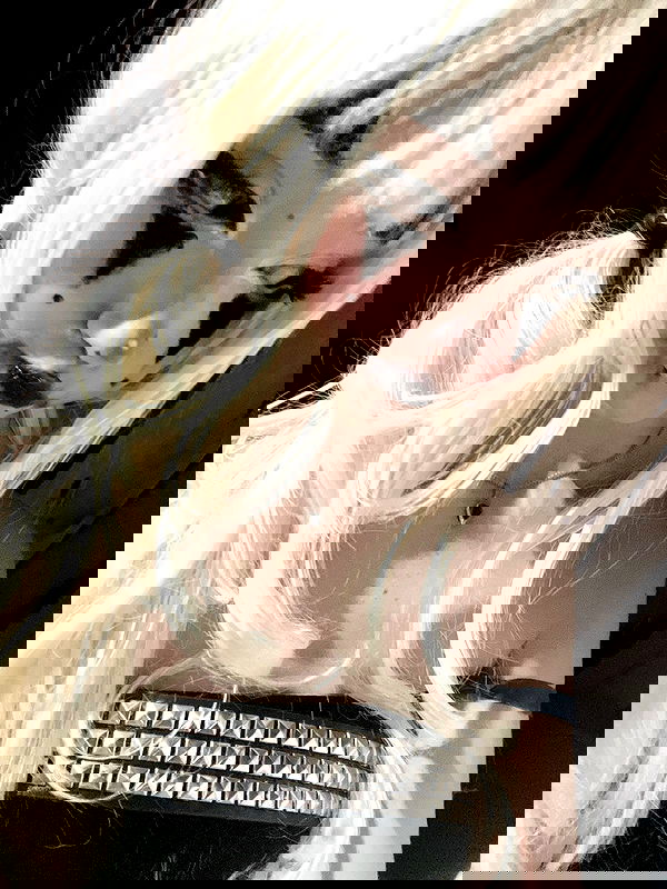 starttles starttles archive image