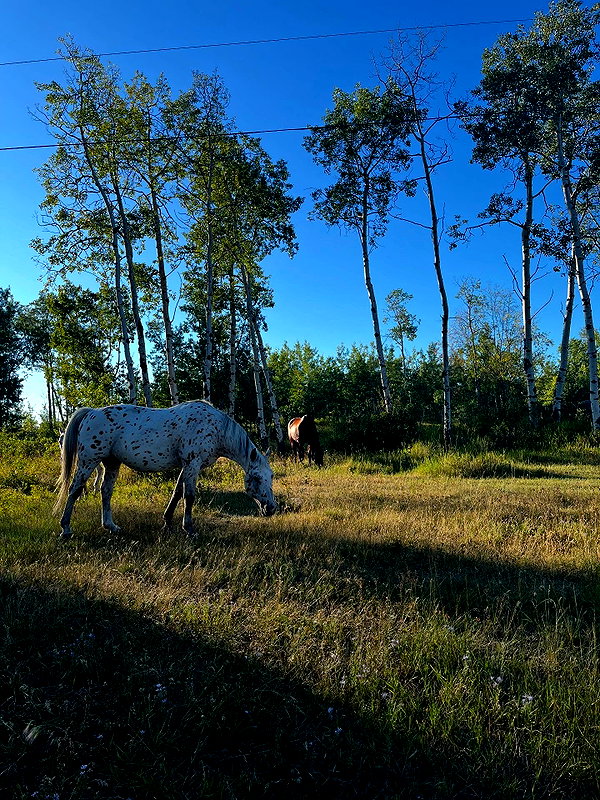 taratornquist instagram image archive image