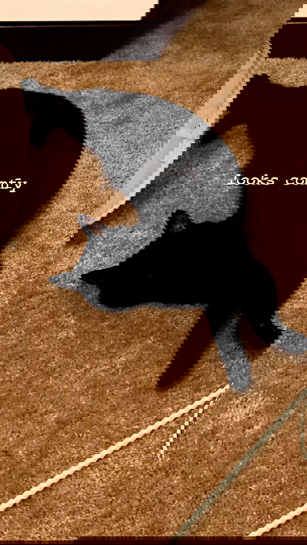 suikomuu suikomuu archive image