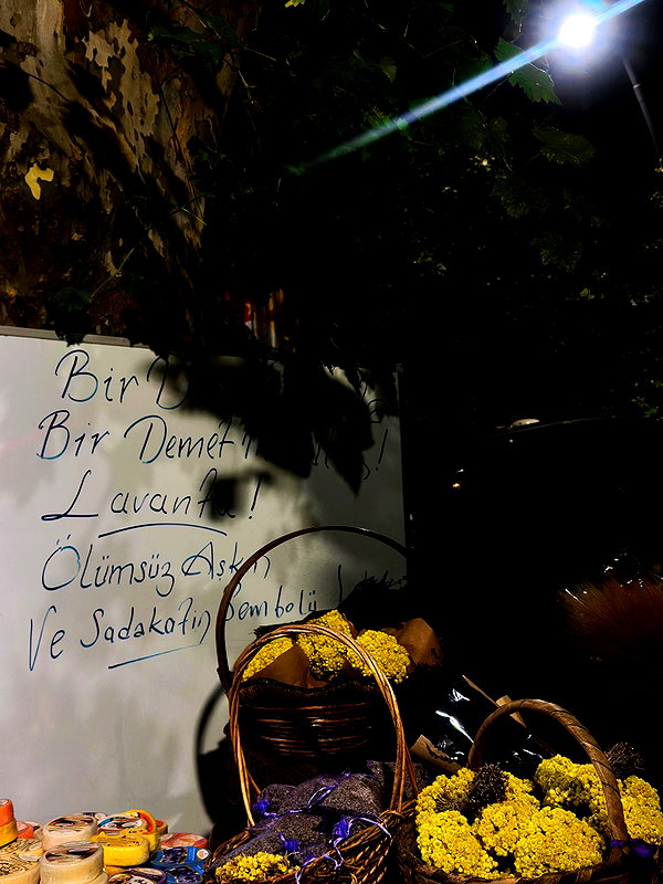 burcnaksu instagram image archive image
