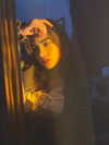 helikoous Altpins Profile Picture