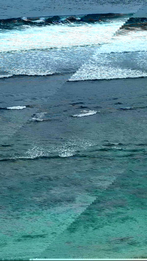 taylor.creeden taylor.creeden archive image