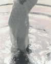 milena_milachich Altpins Profile Picture