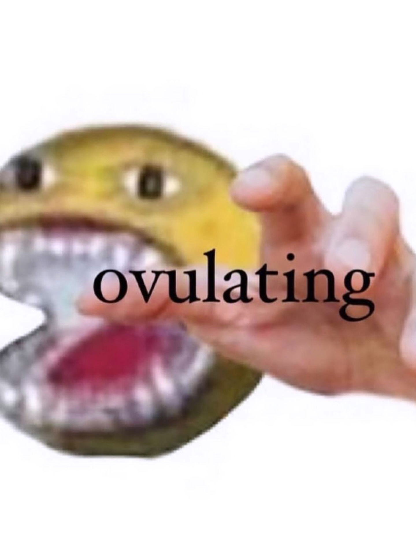 iamm3dusa instagram image archive image