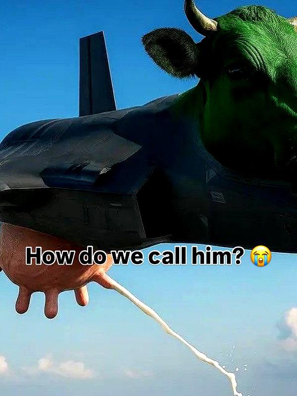 milkibunshehe instagram image archive image
