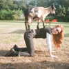 madelame Altpins Profile Picture
