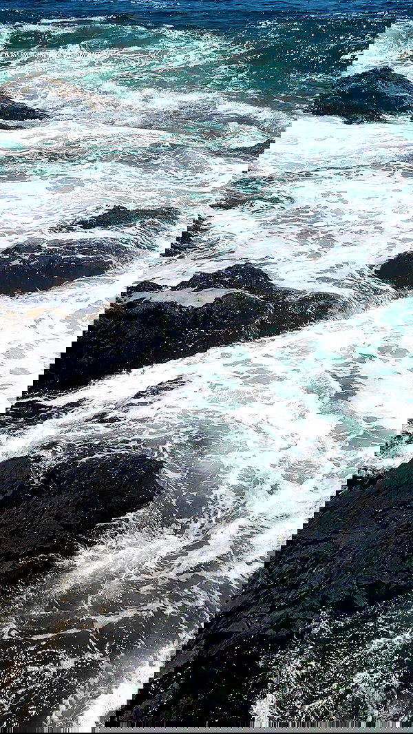 taylor.creeden taylor.creeden archive image