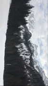 rott3nbambi Altpins Profile Picture