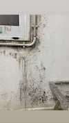 osher_yakir Altpins Profile Picture