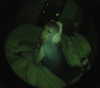 miss_baby007 Altpins Profile Picture