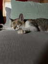 cata.leyah Altpins Profile Picture
