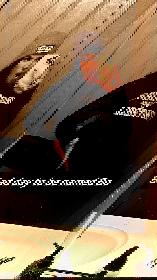 laylafleet1 laylafleet1 archive image