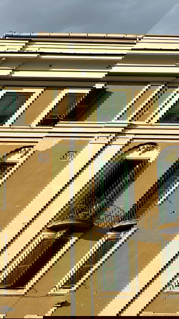 manjolamuriqi manjolamuriqi archive image