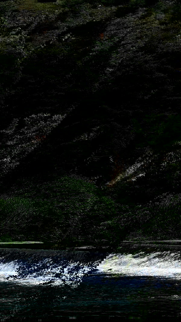 taylor.creeden taylor.creeden archive image