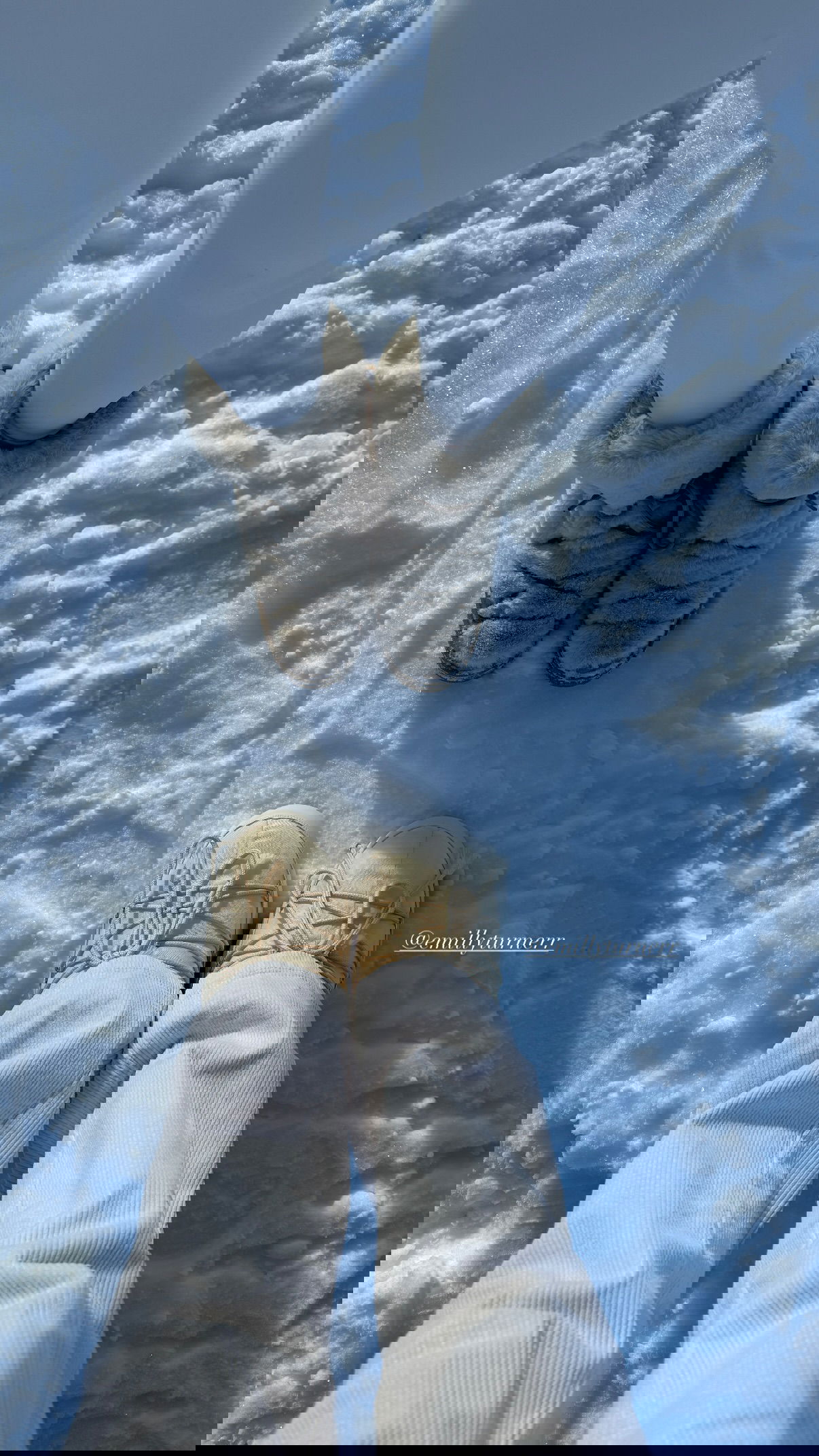 victoriaturnerr instagram image archive image