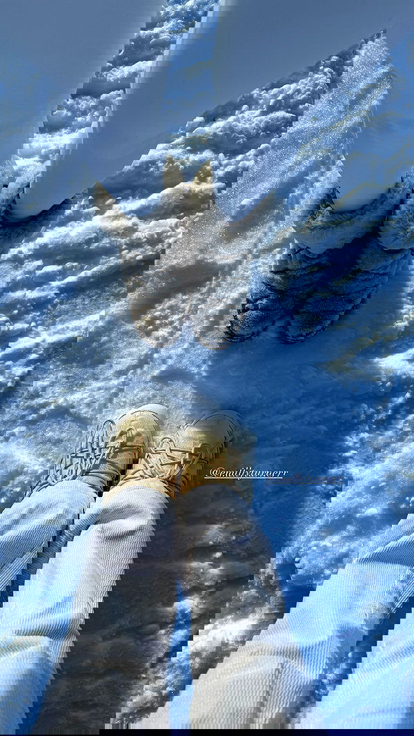 victoriaturnerr image ~ Altpins