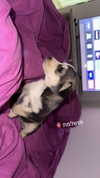 yaarat11 Altpins Profile Picture