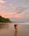 amit._.bar Altpins Profile Picture
