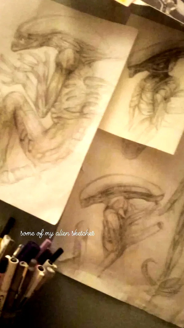 Archived image from @ssarnvd on Instagram