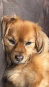 babynympho_archive Altpins Profile Picture