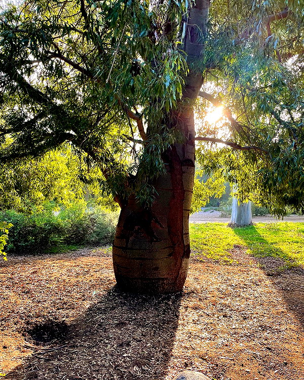 haileylayfield instagram image archive image