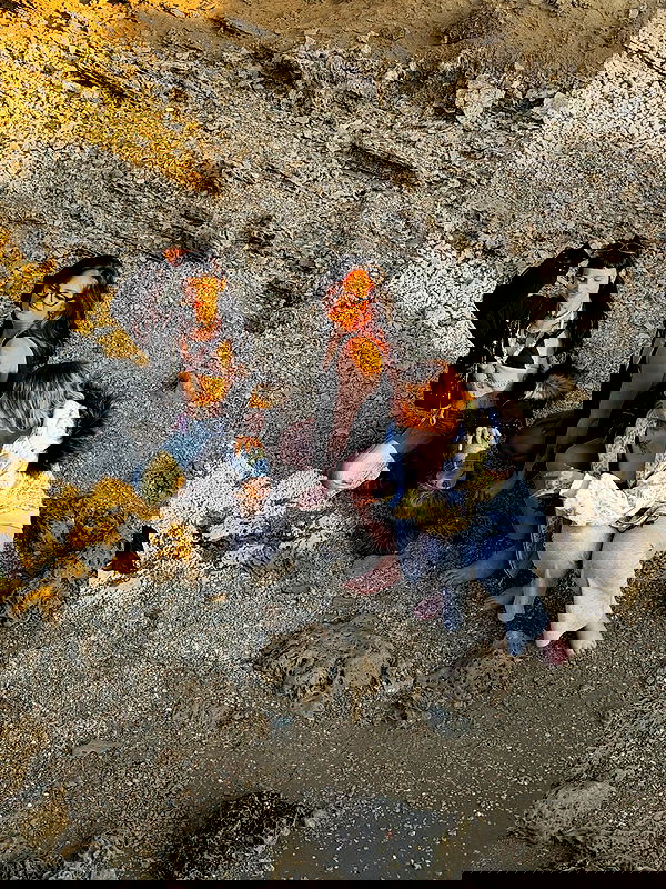 strawberryshanz strawberryshanz archive image