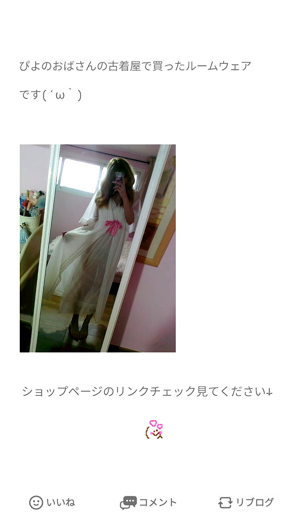 piyokoblog archive image