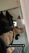 cata.leyah Altpins Profile Picture