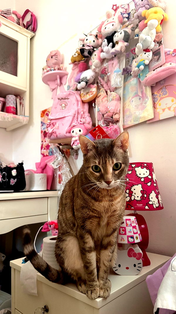 Archived image from @notchicore on Instagram