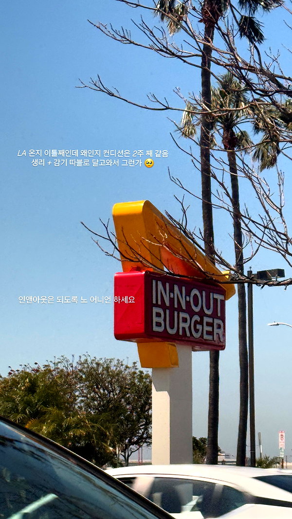 daxbin instagram image archive image