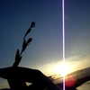 djbabysosh Altpins Profile Picture