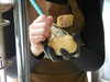 1uvgabi Altpins Profile Picture