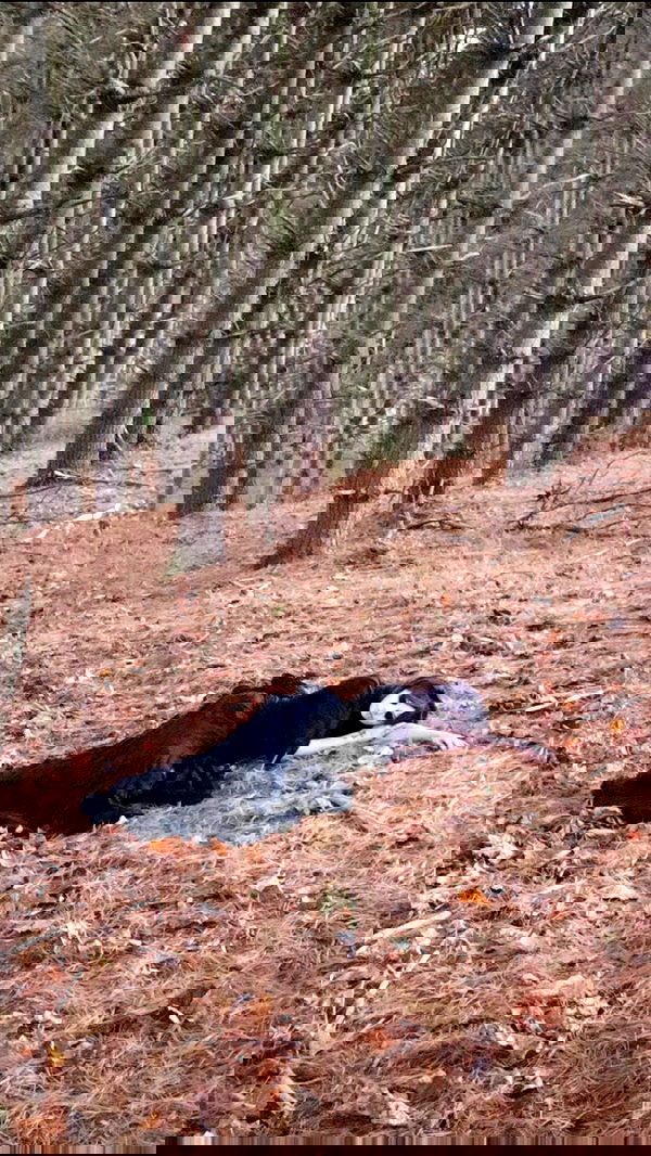 missnyxdawn missnyxdawn archive image