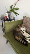 sonia_litvanchuk Altpins Profile Picture