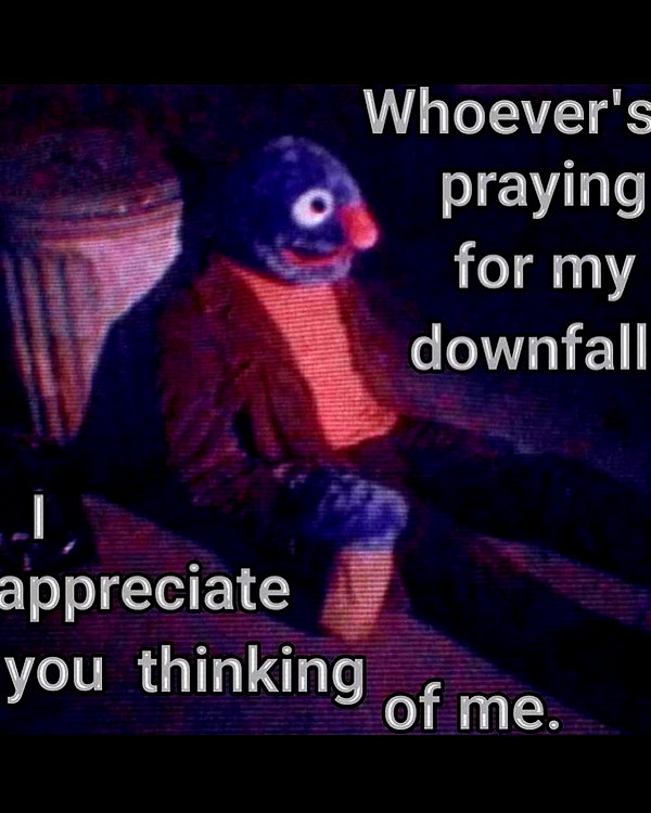 leanbeefpatty instagram image archive image