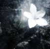 haileylayfield Altpins Profile Picture