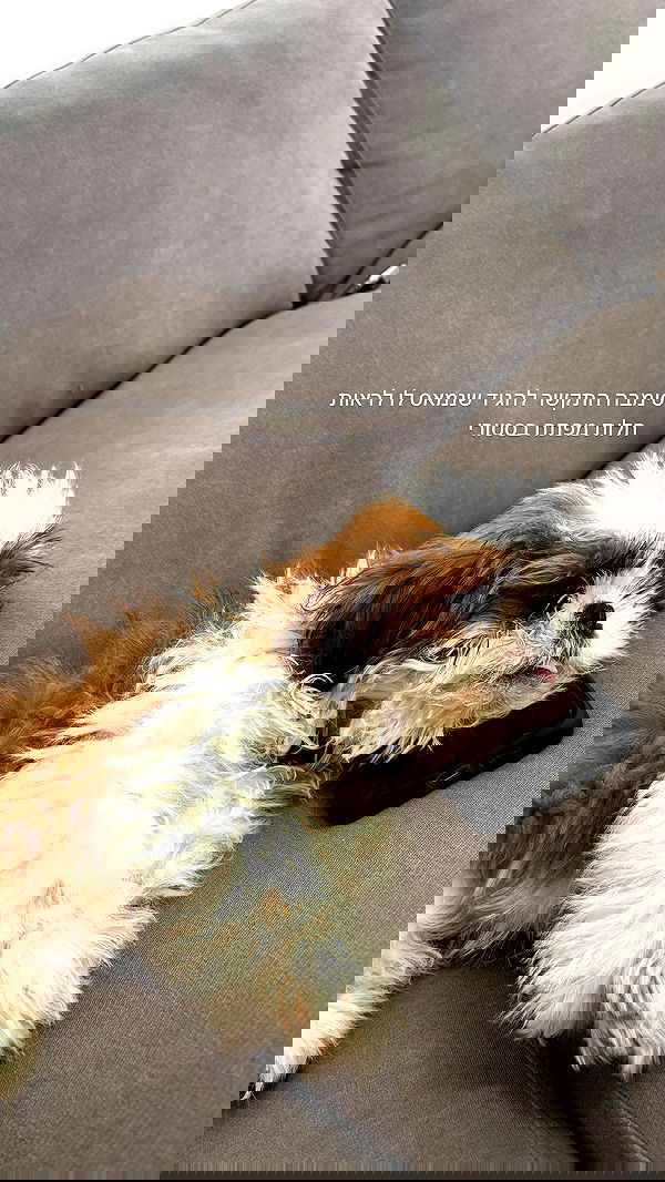 noammalka___ noammalka___ archive image