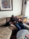 haileylayfield Altpins Profile Picture