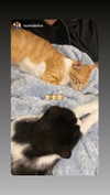 dante_yangpa Altpins Profile Picture