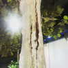 haileylayfield Altpins Profile Picture