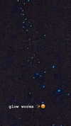 aleiisha.piixiie Altpins Profile Picture
