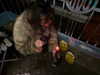 anesa.zm Altpins Profile Picture