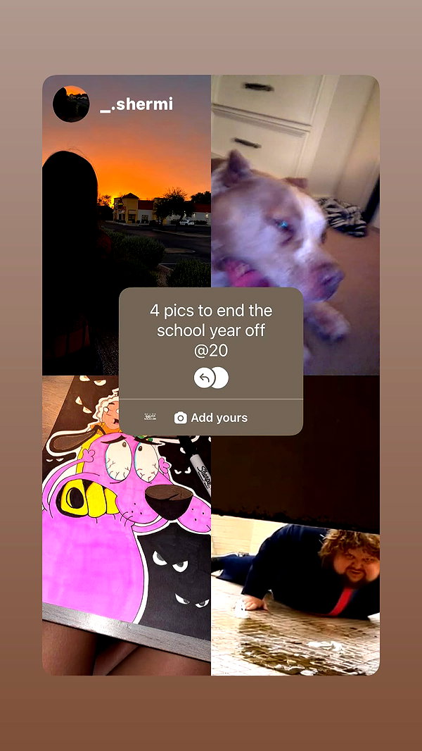 luvsaraa.s instagram image archive image