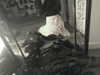 ash.onme Altpins Profile Picture