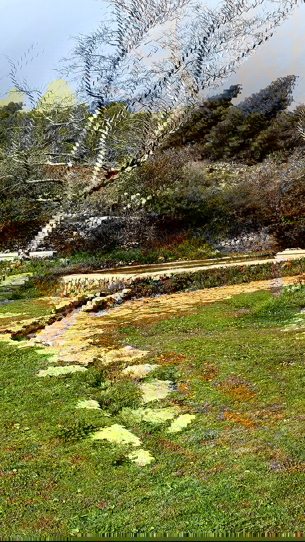 strawberryshanz strawberryshanz archive image