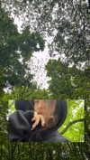 leanxhrt Altpins Profile Picture