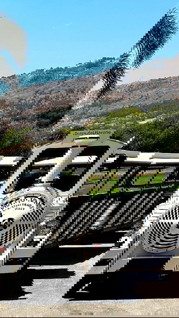 taylor.creeden taylor.creeden archive image