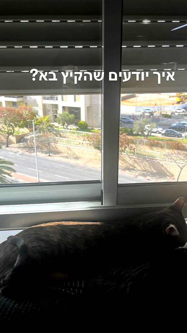Archived image from @notchicore on Instagram