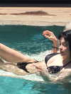 moonliliaght Altpins Profile Picture